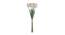 Edwards Artificial Flower Set of 6 (White) by Urban Ladder - Front View Design 1 - 