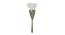 Edwards Artificial Flower Set of 6 (White) by Urban Ladder - Side View Design 1 - 