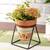 Dahlia planter single lp