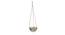 Haven Planter (Beige) by Urban Ladder - Front View Design 1 - 401142