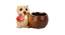 Giselle Planter (Brown) by Urban Ladder - Front View Design 1 - 401148