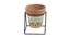 Dahlia Planter (Brown) by Urban Ladder - Front View Design 1 - 401150