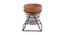Celeste Planter (Brown) by Urban Ladder - Front View Design 1 - 401151