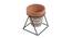 Celeste Planter (Brown) by Urban Ladder - Cross View Design 1 - 401175