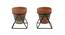 Reign Planter Set of 2 (Brown) by Urban Ladder - Front View Design 1 - 401304