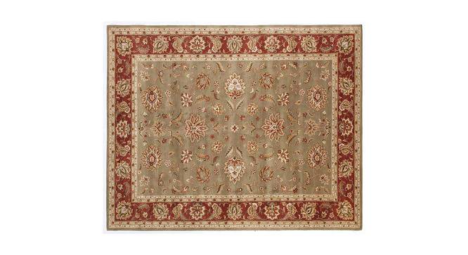 Mikol Carpet (Rectangle Carpet Shape, 244 x 152 cm  (96" x 60") Carpet Size, Kelp - Brick Red) by Urban Ladder - Front View Design 1 - 402265