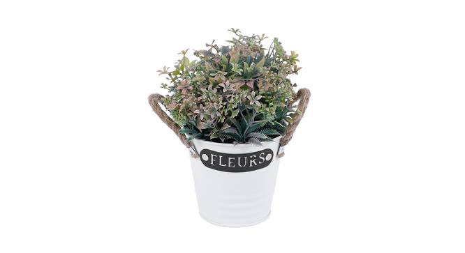 Chile Artifical Plant (multi-color) by Urban Ladder - Design 1 Side View - 402915