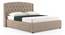 Aspen Upholstered Storage Bed (Queen Bed Size, Beige) by Urban Ladder - Design 1 Side View - 402958