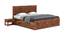 Flamingo Bed With Hydraulic Storage (Teak Finish, King Bed Size) by Urban Ladder - Front View Design 1 - 403186