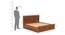 Flamingo Bed With Hydraulic Storage (Teak Finish, King Bed Size) by Urban Ladder - Image 1 Design 1 - 403225
