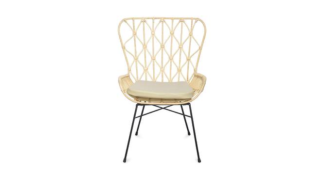 Ariel Occasional Chair (Beige, Matte Finish) by Urban Ladder - Front View Design 1 - 403482