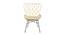 Ariel Occasional Chair (Beige, Matte Finish) by Urban Ladder - Front View Design 1 - 403482