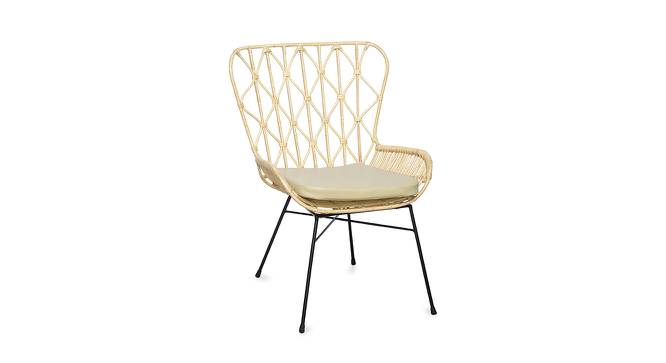 Ariel Occasional Chair (Beige, Matte Finish) by Urban Ladder - Cross View Design 1 - 403495