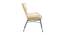 Ariel Occasional Chair (Beige, Matte Finish) by Urban Ladder - Rear View Design 1 - 403520