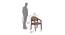 Carleson Arm Chair (Brown, Matte Finish) by Urban Ladder - Design 1 Dimension - 403647