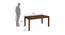 Floret 6 Seater Dining Set (Walnut, Matte Finish) by Urban Ladder - Design 1 Dimension - 403833