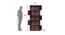 Mitchell Bookshelf (Walnut, Melamine Finish) by Urban Ladder - Design 1 Dimension - 404287