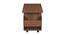 Socotra Coffee Table (Walnut, Melamine Finish) by Urban Ladder - Design 1 Side View - 404734