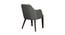 Tahiti Arm Chair (Grey, Matte Finish) by Urban Ladder - Rear View Design 1 - 404759