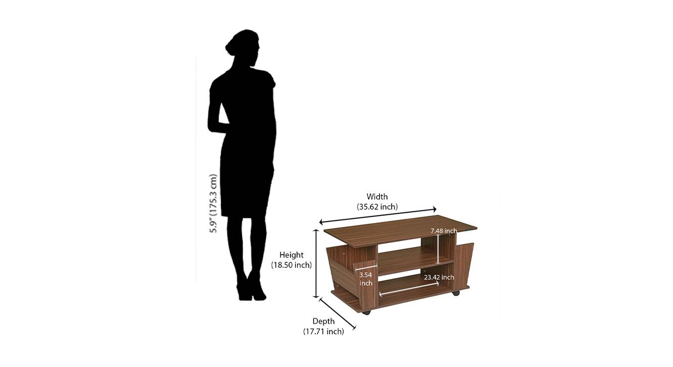 Rectangular Engineered Wood Coffee Table in Melamine Finish Urban Ladder