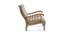 Randall Bedroom Chair (Gold) by Urban Ladder - Cross View Design 1 - 405235
