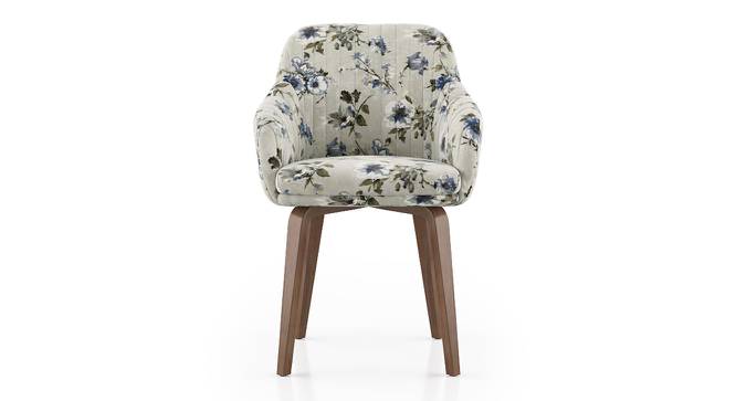 Rochelle Lounge Chair (Adrian Velvet) by Urban Ladder - Design 1 Side View - 406592