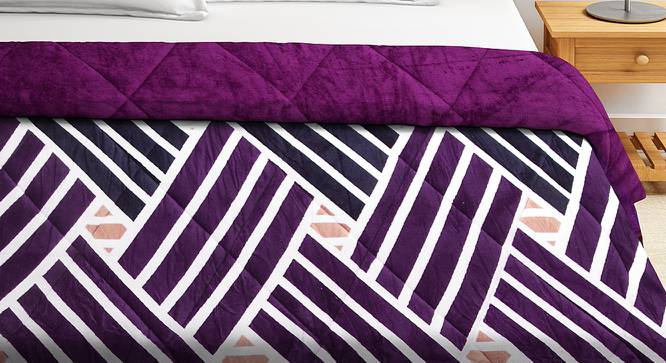 Skyler Quilt (Purple, King Size) by Urban Ladder - Front View Design 1 - 407802