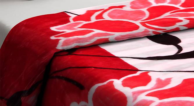 Santana Blanket (Red) by Urban Ladder - Cross View Design 1 - 407810