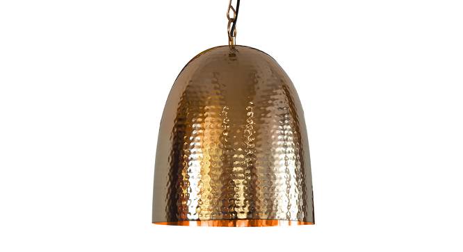 Elisabeth Hanging Lamp (Rose Gold) by Urban Ladder - Design 1 Side View - 408336