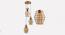 Doriane Hanging Lamp (Black & Brass) by Urban Ladder - Front View Design 1 - 408346