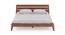 Eddard Bed (King Bed Size, Matte Finish) by Urban Ladder - Front View Design 1 - 408970