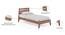 Edward Bed (Single Bed Size, Matte Finish) by Urban Ladder - Cross View Design 1 - 408985