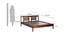 Wardona Bed (Walnut Finish, King Bed Size) by Urban Ladder - Design 1 Dimension - 409403