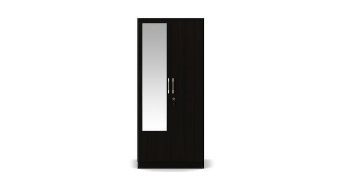 Emerwin 2 Door Wardrobe with Mirror (Natural Wenge) by Urban Ladder - Front View Design 1 - 409478