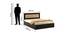 Newport Storage Bed (Queen Bed Size, Vermount) by Urban Ladder - Design 1 Dimension - 409537