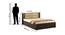 Patricia Storage Bed (Queen Bed Size, Vermount) by Urban Ladder - Design 1 Dimension - 409539