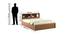 Blaze Storage Bed (Queen Bed Size, Natural Teak) by Urban Ladder - Design 1 Dimension - 409542
