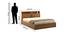 Monarch Storage Bed (King Bed Size, Natural Teak) by Urban Ladder - Design 1 Dimension - 409543