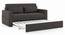 Camden Sofa Cum Bed (Smoke Grey) by Urban Ladder - Cross View Design 1 - 409595