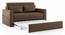 Camden Compact Sofa Cum Bed (Mocha Brown) by Urban Ladder - Cross View Design 1 - 409618