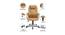 Hover Office Chair (Light Brown) by Urban Ladder - Front View Design 1 - 409700