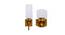 Avah Wall Lamp (Antique Brass) by Urban Ladder - Front View Design 1 - 410008