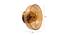 Yara Wall Lamp (Brass & Amber) by Urban Ladder - Design 1 Dimension - 410607