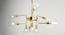 Gaspard Chandelier (Brushed Gold) by Urban Ladder - Design 1 Side View - 410849