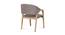 Caprica Arm Chair (Grey, Matte Finish) by Urban Ladder - Rear View Design 1 - 411347