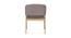 Caprica Arm Chair (Grey, Matte Finish) by Urban Ladder - Design 1 Close View - 411348
