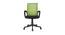 Grantland Office Chair (Parrot Green & Black) by Urban Ladder - Front View Design 1 - 412802