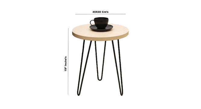 Kelvan Side Table (Brown, Matte Finish) by Urban Ladder - Design 1 Dimension - 412933
