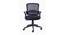 Shirleen Office Chair (Black) by Urban Ladder - Front View Design 1 - 413068