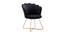 Fiona Lounge Chair (Black, Texture Finish) by Urban Ladder - Front View Design 1 - 413254